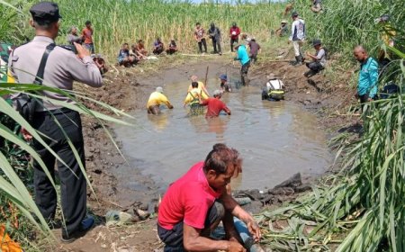 Petugas Berjibaku Empat Jam, Buaya di Juwono Bantul Berhasil Ditangkap