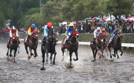 Indonesia di Ambang Sejarah, Mampukah King Argentine Raih Triple Crown Kuda Pacu?