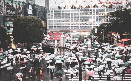 Kelakuan Influencer Neo Japan Disayangkan, Berpotensi Ganggu Hubungan RI-Jepang