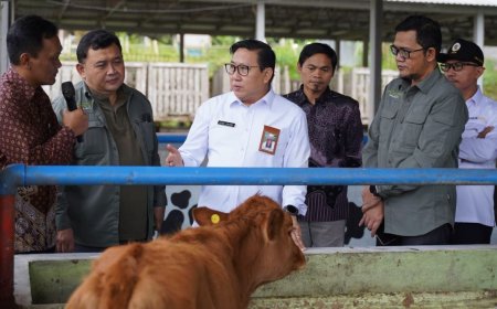 Program Fresh Dukung Ketersediaan Susu Segar Program MBG