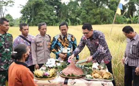 Gapoktan Lestari Mulyo Sleman Panen Raya Padi Varietas Sembada Merah