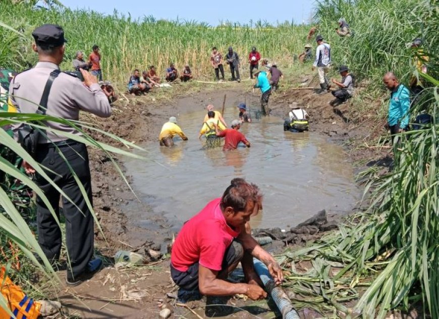 Petugas Berjibaku Empat Jam, Buaya di Juwono Bantul Berhasil Ditangkap
