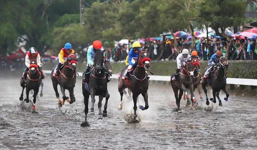 Indonesia di Ambang Sejarah, Mampukah King Argentine Raih Triple Crown Kuda Pacu?