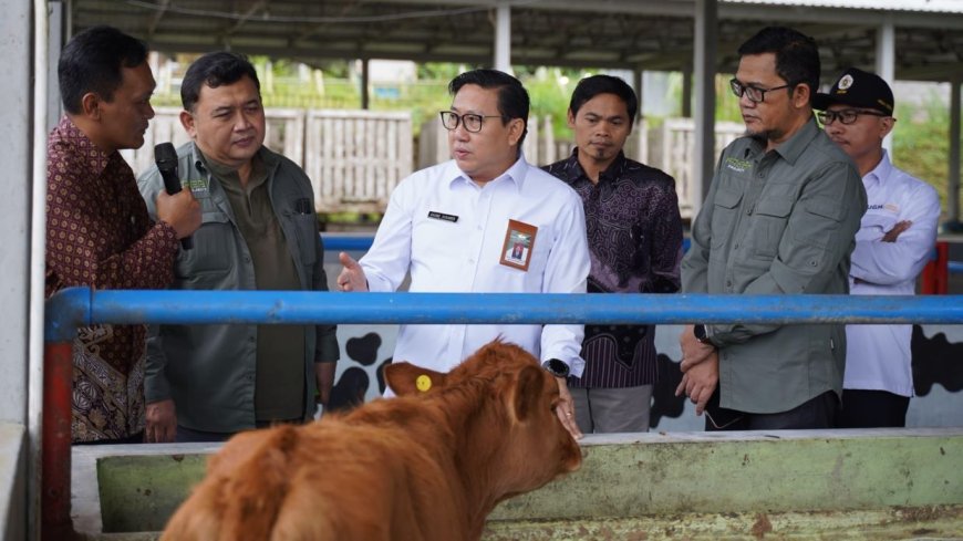 Program Fresh Dukung Ketersediaan Susu Segar Program MBG