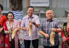 Upakarya Semarang 2025 Hidupkan Lagi Jalur Gula dan Relasi Sejarah Semarang-Yogyakarta