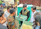 Mahasiswa KKN Unsoed Praktik Budi Daya Maggot di Wonosobo