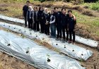 Mahasiswa KKN UNS Bantu Petani di Klaten Tanggulangi Gulma dengan Mulsa