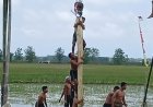 Lomba Panjat Pohon Pisang di Purworejo, Peserta Kesulitan Mencapai Puncak