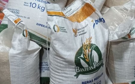 Beras Bantuan Pemerintah Dijual karena Berbagai Alasan