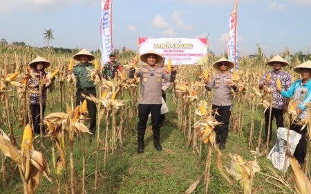 Kapolres Purworejo Pimpin Panen Raya Jagung Dua Hektar