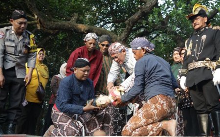 Ribuan Warga Saksikan Upacara Adat Saparan Bekakak di Ambarketawang