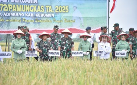 Pangdam IV/Diponegoro Panen Raya Padi di Desa Tepakyang Kebumen, Hasilnya 1.116 Ton