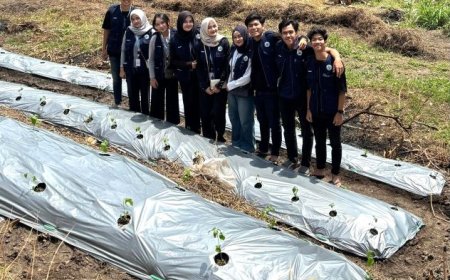 Mahasiswa KKN UNS Bantu Petani di Klaten Tanggulangi Gulma dengan Mulsa