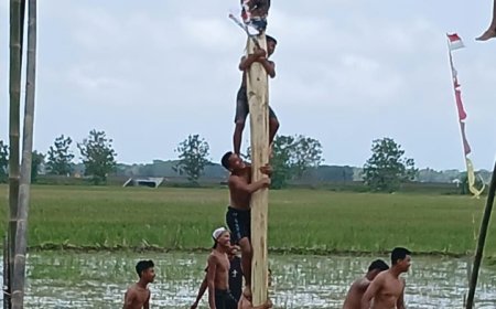 Lomba Panjat Pohon Pisang di Purworejo, Peserta Kesulitan Mencapai Puncak