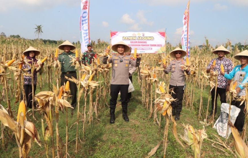 Kapolres Purworejo Pimpin Panen Raya Jagung Dua Hektar