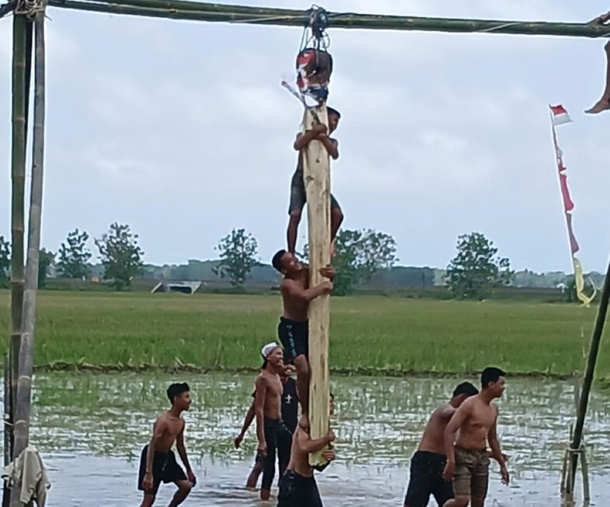 Lomba Panjat Pohon Pisang di Purworejo, Peserta Kesulitan Mencapai Puncak