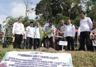 Hari Ini 360 Ribu Bibit Kelapa Ditanam Serentak di Indonesia