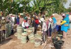 Warga Desa Pogung Klaten Bangun Jalan Pakai Limbah Batu Bara PLTU Pacitan