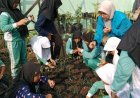 Konsep Agro Eduwisata Dikembangkan di SD Negeri Wirokerten Bantul