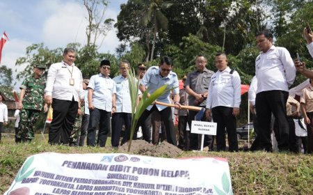Hari Ini 360 Ribu Bibit Kelapa Ditanam Serentak di Indonesia