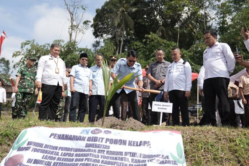 Hari Ini 360 Ribu Bibit Kelapa Ditanam Serentak di Indonesia