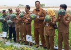 Wisata Petik Buah Desa Demakijo Klaten Dipenuhi Pengunjung