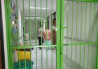 ODGJ Bisa Hidup Produktif, Baru Sebagian Kecil Memanfaatkan Fasilitas Kesehatan Jiwa