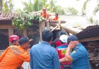 Hujan Deras di Kebumen Meninggalkan Bekas Pohon Tumbang dan Tanah Longsor