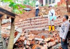 Talud Ambrol dan Tanah Longsor, Hujan Ekstrem Cemaskan Warga Kebumen
