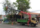 Antisipasi Bencana Alam, Bupati Klaten Imbau Warga Pangkas Pohon