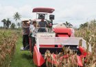 Kapolres dan Wakil Bupati Panen Raya Jagung di Desa Kalimiru Purworejo