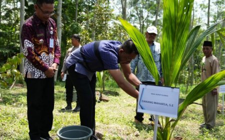 Kelompok Tani Ngudi Mulyo Tanam Kelapa Hibrida