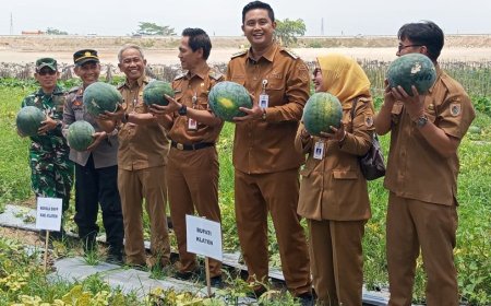 Wisata Petik Buah Desa Demakijo Klaten Dipenuhi Pengunjung