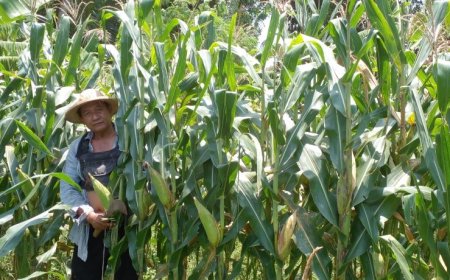 Seruan SPI DIY, Ajak Petani Gabung Koperasi