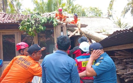 Hujan Deras di Kebumen Meninggalkan Bekas Pohon Tumbang dan Tanah Longsor