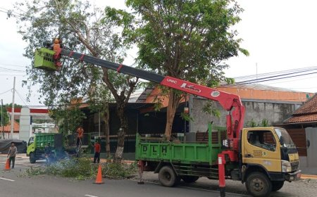 Antisipasi Bencana Alam, Bupati Klaten Imbau Warga Pangkas Pohon