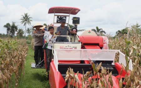 Kapolres dan Wakil Bupati Panen Raya Jagung di Desa Kalimiru Purworejo