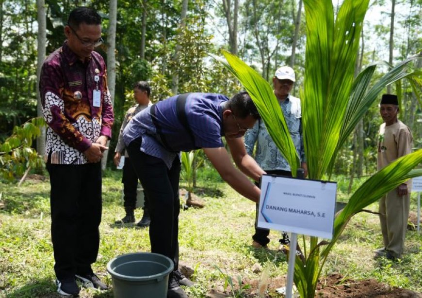 Kelompok Tani Ngudi Mulyo Tanam Kelapa Hibrida