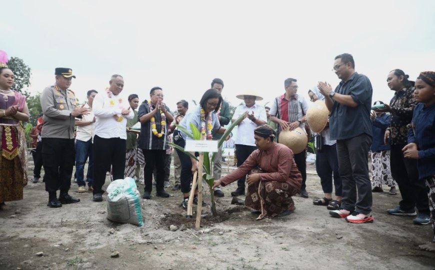 Kabupaten Sleman Terima Bantuan 15 Ribu Bibit Kelapa Genjah Pandan Wangi