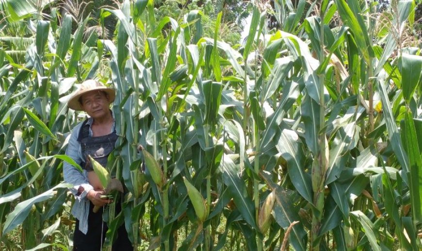 Seruan SPI DIY, Ajak Petani Gabung Koperasi