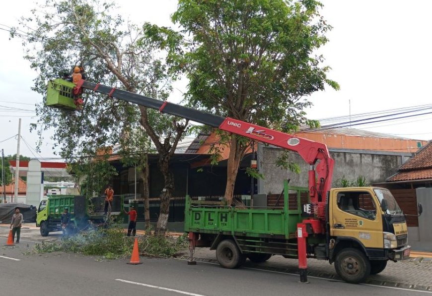 Antisipasi Bencana Alam, Bupati Klaten Imbau Warga Pangkas Pohon