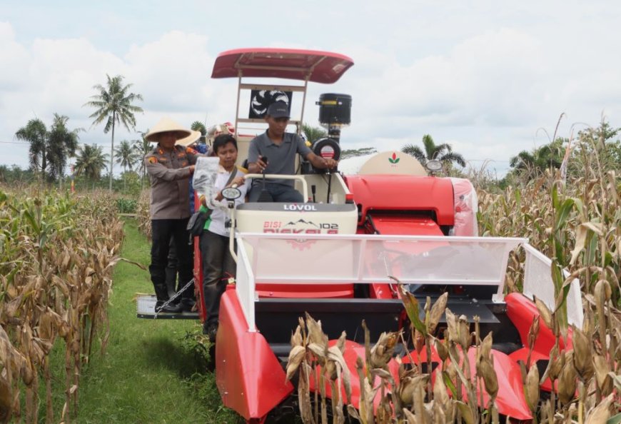 Kapolres dan Wakil Bupati Panen Raya Jagung di Desa Kalimiru Purworejo