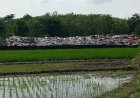 Tidak Semua Sampah Bisa Dibuang di TPA Troketon