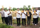 Kelompok Tani Ngudi Rejeki Seyegan Panen Jagung