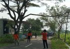 Relawan Tiga Desa di Polanharjo Klaten Gotong-royong Pangkas Pohon