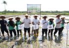 Kabupaten Sleman Jadi Percontohan Kampung Peramalan Organisme Pengganggu Tumbuhan
