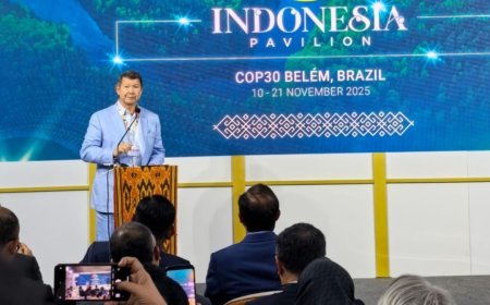 Target Indonesia Emisi Nol Bersih Paling Lambat Tahun 2060
