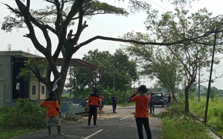 Relawan Tiga Desa di Polanharjo Klaten Gotong-royong Pangkas Pohon