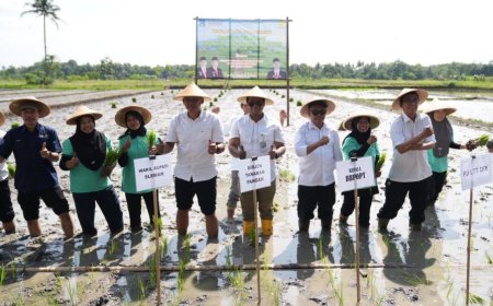 Kabupaten Sleman Jadi Percontohan Kampung Peramalan Organisme Pengganggu Tumbuhan