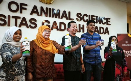 Peneliti Fapet UGM Ubah Limbah Rumen Jadi MOL Probiotik